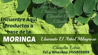 DOCUMENTAL EN ESPAÑOL DE DISCOVERY CHANNEL SOBRE EL ARBOL DE LA VIDA. Colombia 3155902899