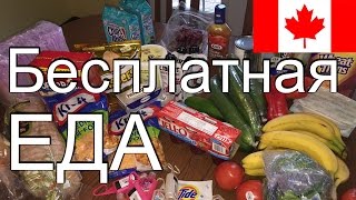 БЕСПЛАТНАЯ ЕДА В КАНАДЕ. ОТКРОВЕННО ПРО КАНАДСКИЙ ФУДБАНК. ? #23
