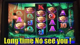 ★Long time no see you My Big Black Cat !☆Prowling Panther Slot machine (IGT) Live Play 栗スロット☆彡