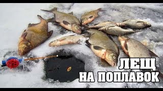 Поклёвки Леща на ПОПЛАВОК. Прикормка Бомба. Зимняя Рыбалка в Палатке. Лещ на Подледной Ловле