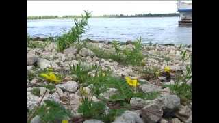 Экотур 2013 (Самарская область) Заповедник Самарской луки