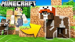 KROWA TROLL?! - ZABAWA W CHOWANEGO W MINECRAFT (Hide and Seek) | Vito vs Bella
