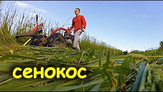 САМЫЙ СЕНОКОС И НАНОТЕХНОЛОГИИ // КОСИЛКА ЗАРЯ СЛОМАЛАСЬ
