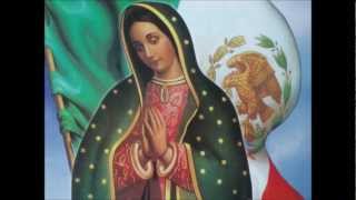 Amma Nallamma : Lyrics +Music+ Sung : Fr.Sajan Parackal,css, Orchestration: Pauly Trissur.