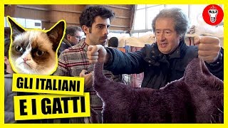 Gli Italiani e i Gatti - TELO MARE TELO CHIEDO - theShow