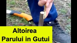 Altoirea gutuiului cu par 05.04.14 / Grafting pear on quince / innesto pera su cotogno