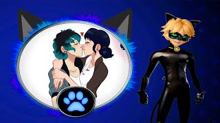 AMV | Miraculous Ladybug | Леди Баг и Супер-кот | Кого любишь ты? | Full HD 1080p