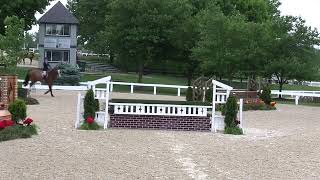 Video of CASHMAN ridden by TEXIE LOYD from ShowNet!