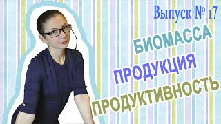 Уроки биологии: Биомасса. Продукция. Продуктивность (Вып. 17)