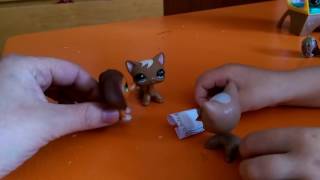 lps pet shop aneb pečopák POČOPÁK - nepodporujme padělky!!!! aneb jsem sběratel né padělatel