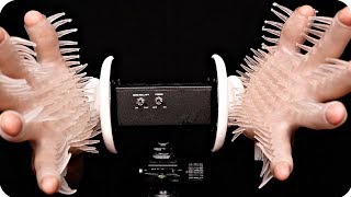 ASMR 3Dio Ear Massage with Silicone Spikes and Oil (No Talking)
