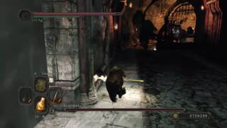 Dark Souls II Колесница палача (НГ+4 без лечения)