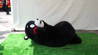 くまモン　腹筋