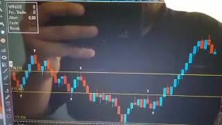 NS TRADER ( indicação do e-book )