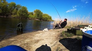Рыбалка 2019 ТУТ РЫБЫ КАК В АСТРАХАНИ ХОТЬ ЛОВИ НА ПУСТОЙ КРЮЧОК