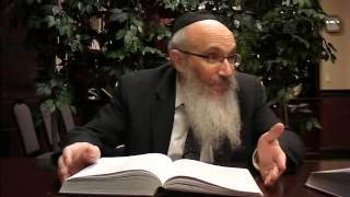The Difference Between Yosef And His Brothers - A Class On Parshas Vayigash By Rabbi Yisroel Spalter
