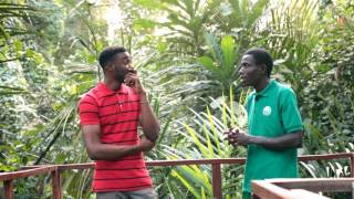 eXploring - The 120 year-old Eke Tree | Lufasi Park