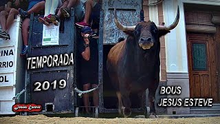 TEMPORADA 2019 LAS MEJORES IMAGENES