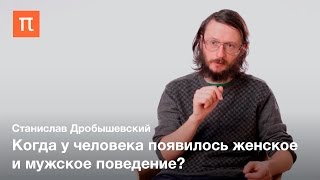 Половой диморфизм у приматов и древних людей — Станислав Дробышевский