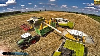 BIG CORN HARVEST - 3X CLAAS LEXION 770|750|410 -GoPro- [FULL HD]