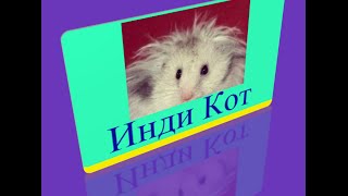 868 уровень   Инди кот