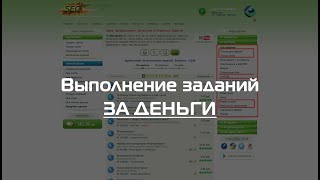 Заработок на выполнении заданий. Вводный гайд.
