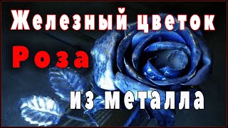 Железный цветок. Роза из металла.