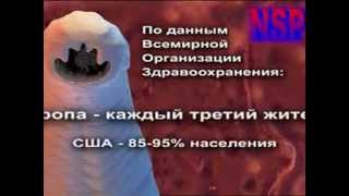 Фильм паразиты в организме человека - Признаки паразитов в человеке - Видео о паразитах внутри нас