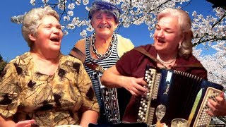 Цыган ходит по бульвару☀️ ? Эх, спляшу!!! Цыганская народная песня под баян?ОЧАРОВАТЕЛЬНЫЙ дуэт!!!