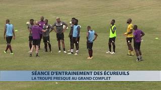 CAN 2019 : les Ecureuils au grand complet avant d'affronter le Togo dimanche prochain