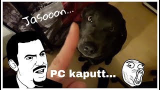 Mein Hund hat mein PC kaputt gemacht? :(