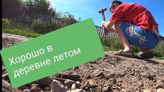 Работаю на участке с утра до вечера.разборка с садом Деревенские будни . влоги