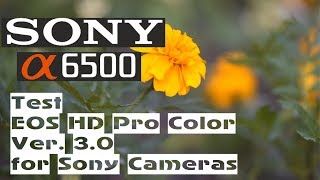 Test EOS HD PRO COLOR Ver. 3.0 for Sony ILCE A6500