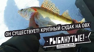 Он существует! Крупный судак на ОВХ в марте. Отчет за 2 поездки