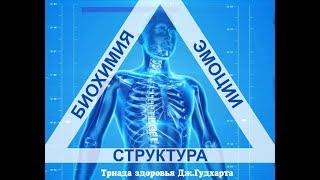Дифференциальная диагностика таза и длинны ног