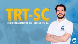Concurso TRT-SC: Tudo sobre a Carreira e Dicas de estudos