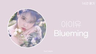 1시간 / 가사 | 아이유(IU) - Blueming (블루밍)