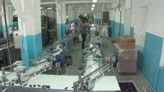 Автоматизированная упаковочная линия