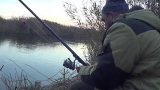 Вода кипела от рыбы