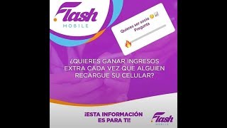 Presentación  FLASH MOBILE Perú (mejor explicado)