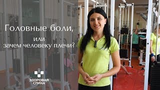 Как устранить головную боль? Упражнение для спины и шеи. Центр "Здоровая спина"