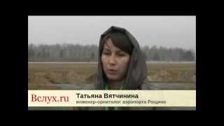 Универсал-Акустик АЭРО-1С в аэропорту Рощино