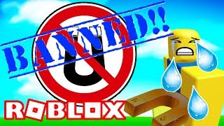 АДМИН ЗАБАНИЛ МЕНЯ В СИМУЛЯТОРЕ МАГНИТА ЗА РАЗДАЧУ ШАЙНИ ПИТОМЦЕВ! ROBLOX