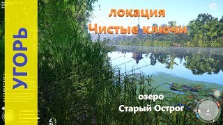 Русская рыбалка 4 - озеро Старый Острог - Угорь у островка