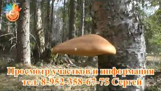 Продажа загородной недвижимости 1