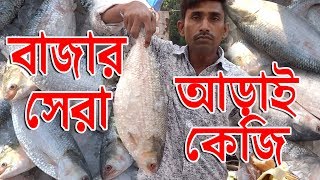 বাজার সেরা আড়াই কেজি । 2.5 KG SIZE HILSA | 2400 TK PER KG | 19.09.2019 | বড় ইলিশের দাম | Banglarmukh