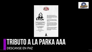 LA MUERTE DE LA PARKA - TRIBUTO A SU CARRERA | SPORT BOY - IRVING CORTES