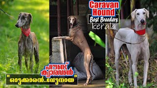 ഓട്ടക്കാരൻ വേട്ടപ്പട്ടി | ക്യാരവൺ  ഹഔണ്ട്.