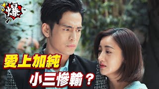 《多情大爆爆》多情城市 EP290 愛上加純 小三慘輸？