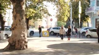 Территория культуры (выпуск 20.10.2013)